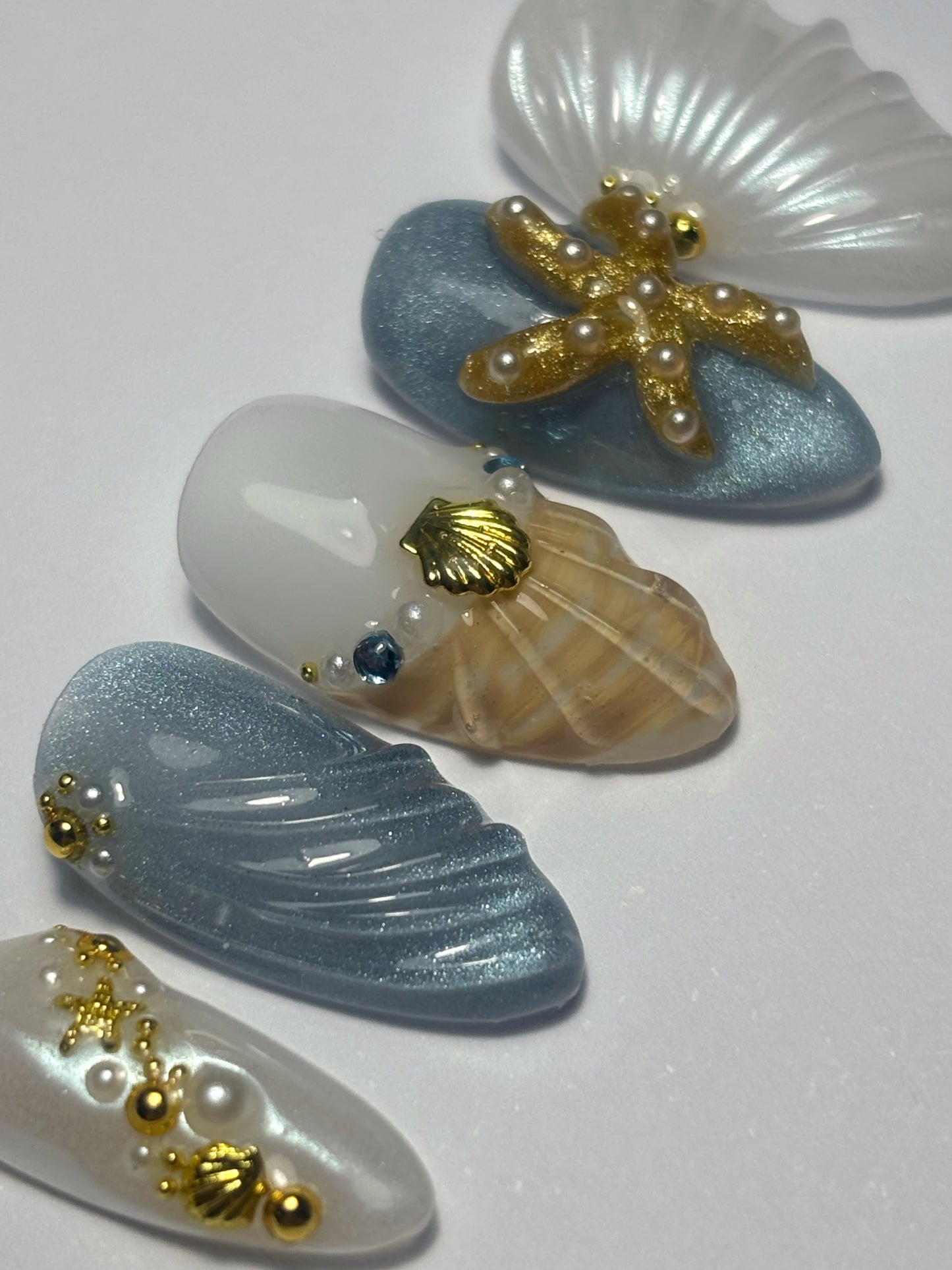 MAJORQUE🐚