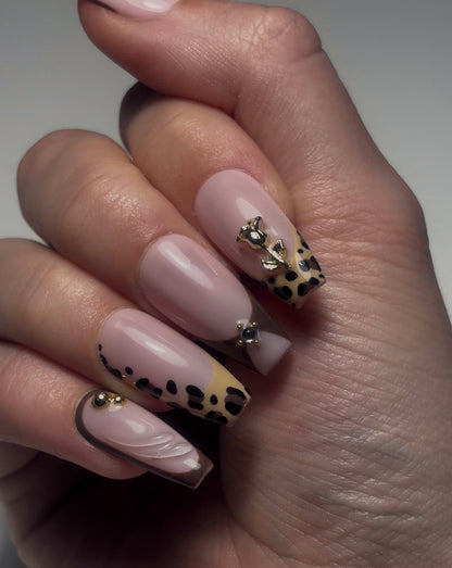 JAGUAR🐆