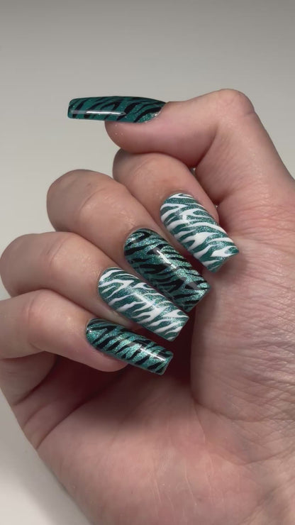 OCEAN SAFARI🦓